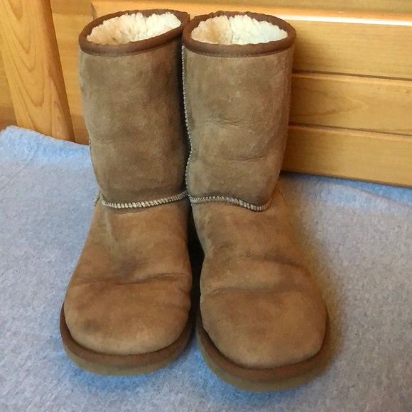 UGG Shoes - Chestnut Uggs